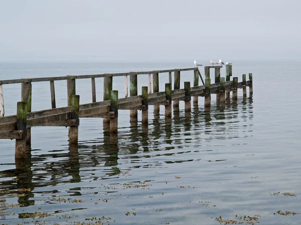 Hermoso paisaje marino de una pasarela de madera con gaviotas — Foto de Stock