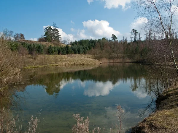 Malebné letní krajina jezera s krásnou reflexi — Stock fotografie