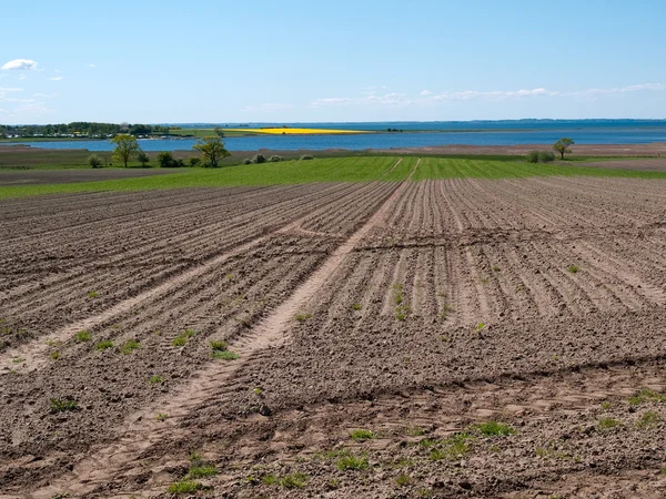 stock image Agriculture plowed fields