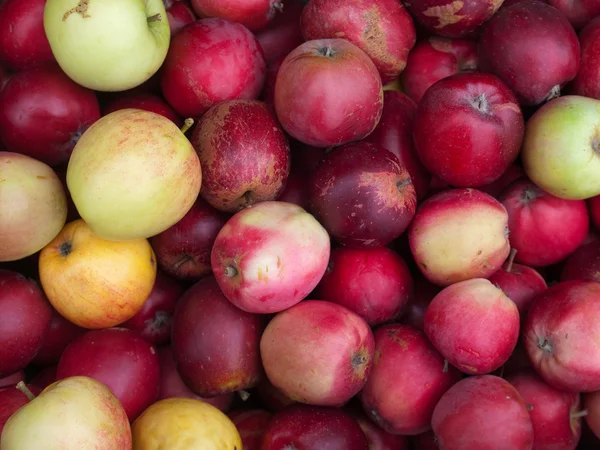 Pommes rouges biologiques fraîches — Photo
