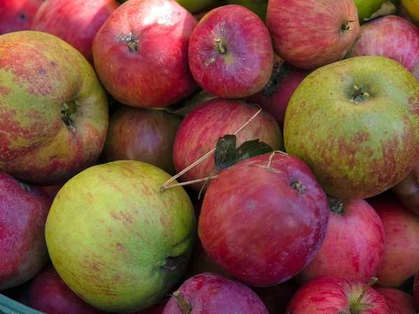 Pommes rouges biologiques fraîches - Aliments sains — Photo