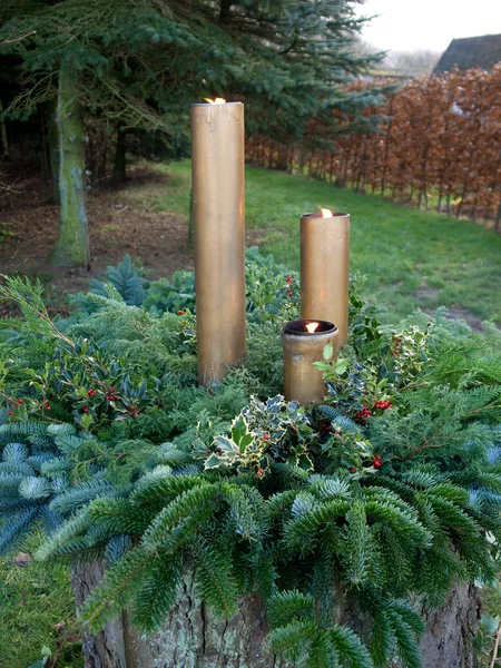 Kerstmis vuren boom europen holly en lichten — Stockfoto