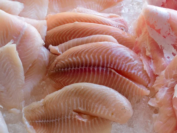 新鮮な魚介類の魚の切り身の表示 — ストック写真
