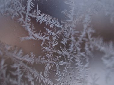 buz kristalleri pencere kış arka plan üzerinde
