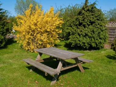 Picnic in a garden - taking a rest clipart