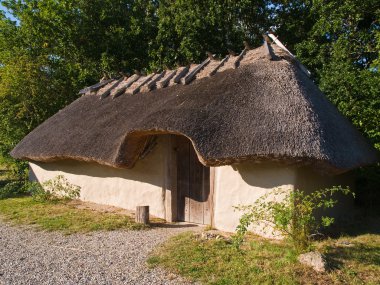 Viking yaş evi