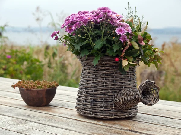 Zátiší krásný košík s květinami — Stock fotografie
