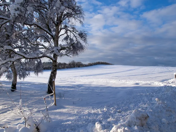 Piękne zimowe tło krajobrazu — Zdjęcie stockowe