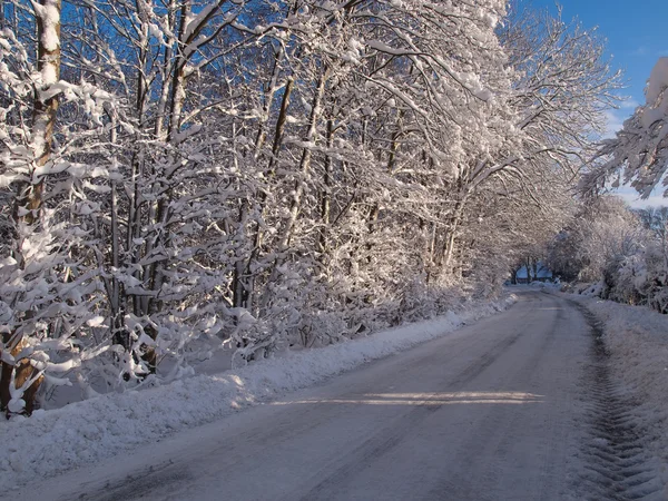 Camino de invierno imagen de fondo perfecta —  Fotos de Stock