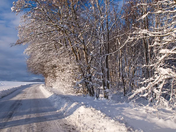 Camino de invierno imagen de fondo perfecta —  Fotos de Stock