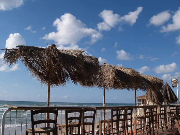 Café op een tropisch strand — Stockfoto