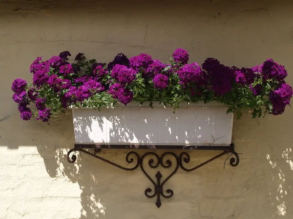 Pot de fleurs planteur classique sur un mur de briques — Photo