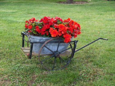 Garden decor in old wagon clipart