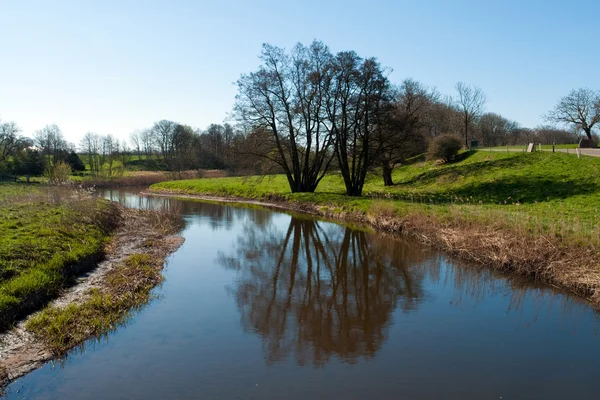 Paisaje con reflejo de árbol en el agua —  Fotos de Stock