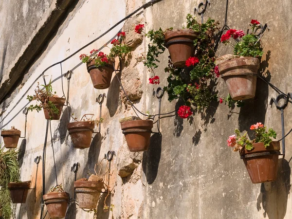 Potes típicos plantador de parede estilo Toscana Itália — Fotografia de Stock