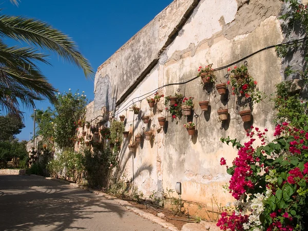 Potes típicos plantador de parede estilo Toscana Itália — Fotografia de Stock