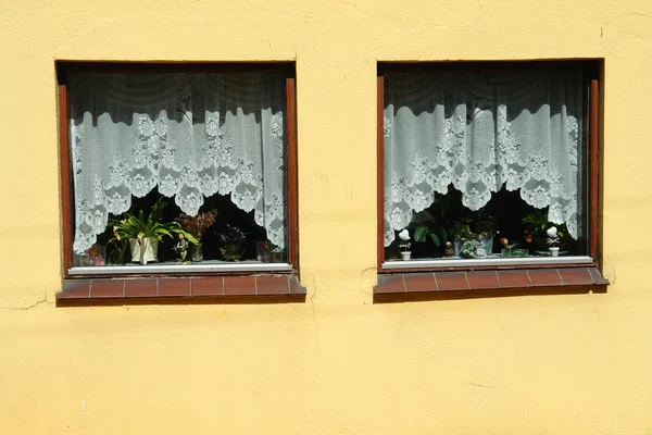 Классические европейские окна с кружевным занавесом — стоковое фото