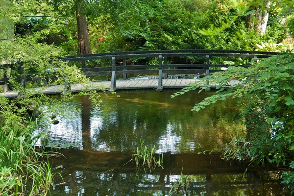 Kleine houten brug over de rivier — Stockfoto