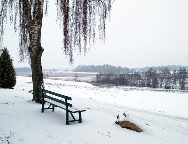 Panchina nella neve — Foto Stock