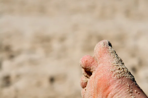 Piaszczysta stopy na plaży — Zdjęcie stockowe