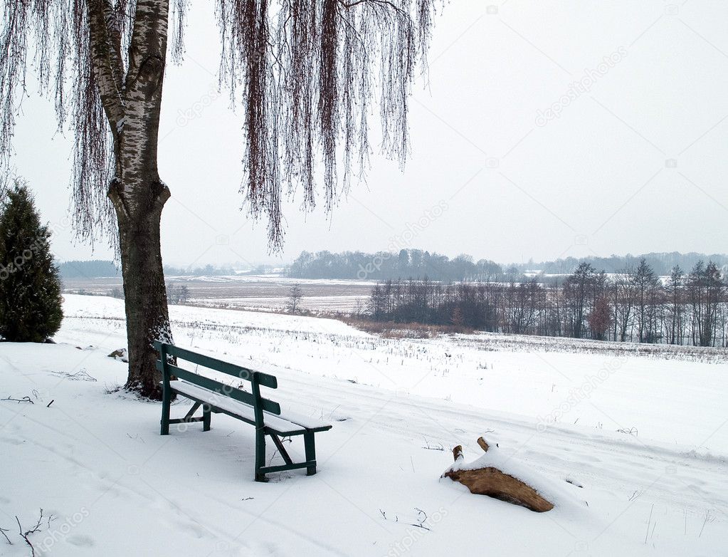 Bank Im Schnee Stockfoto C Ronyzmbow