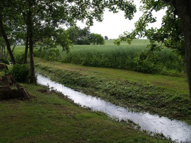 küçük nehir creek peyzaj