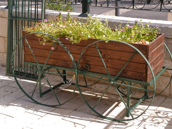 stock image Creative flowers planter