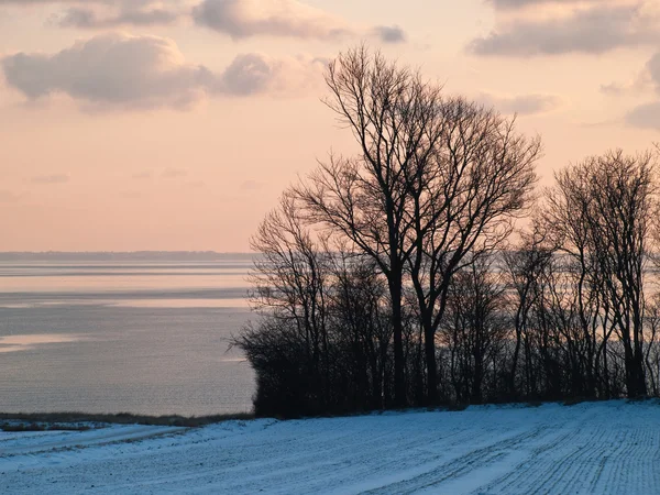 Zima piękny zachód słońca — Zdjęcie stockowe