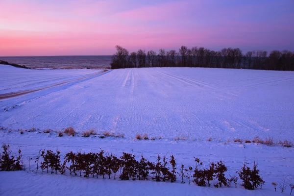 Beautiful dramatic winter sunset — Stock Photo, Image