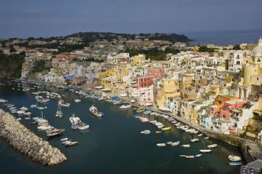 Sahil Procida