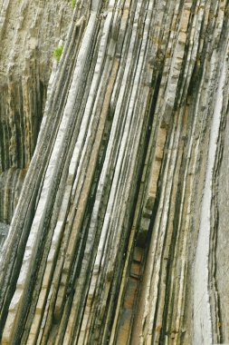 Zumaia beach ve flysch