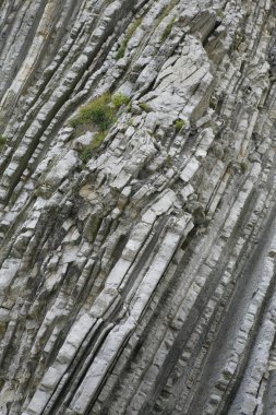 Zumaia beach ve flysch