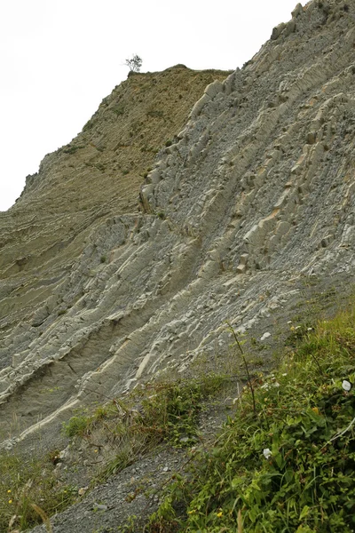 stock image Zumaia Beach and Flysch