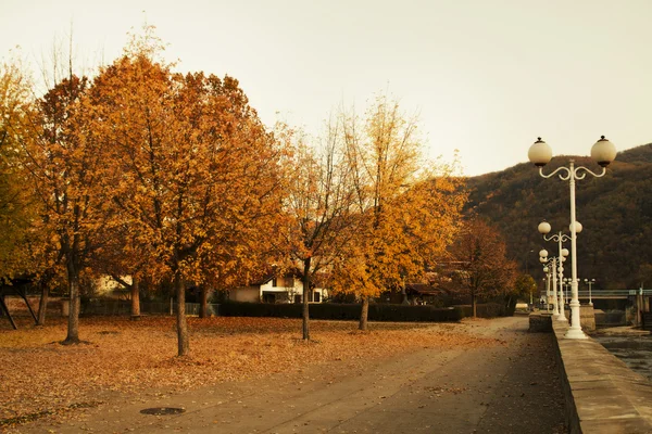 Wandelpad in fall kleuren Stockfoto