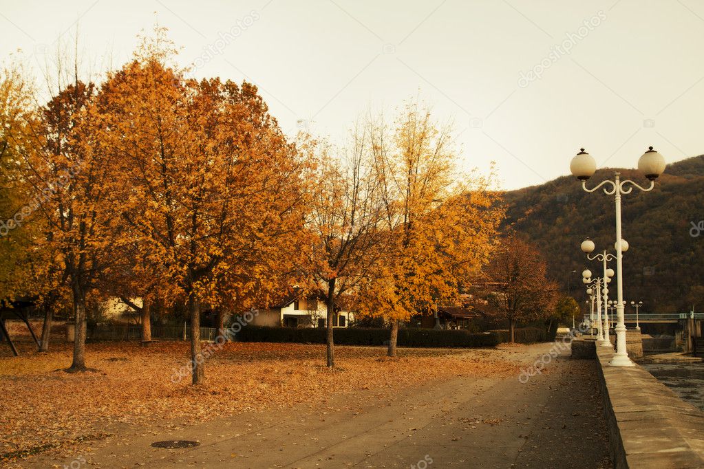 Walkway in Fall Colors