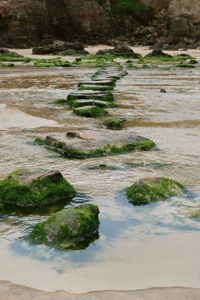 Perranporth степінг каменів — стокове фото