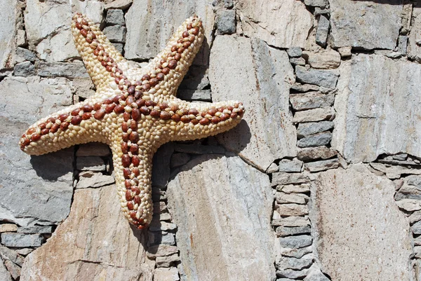 Starfish na parede — Fotografia de Stock