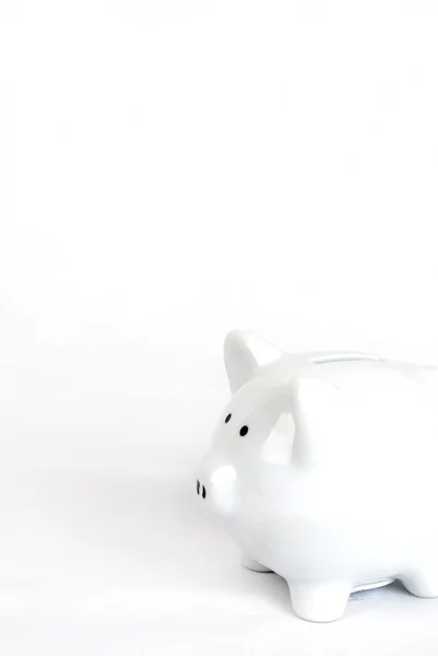 Weißes Sparschwein — Stockfoto