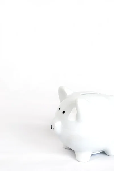 stock image White Piggy Bank