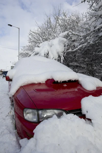 stock image Buried in the snow