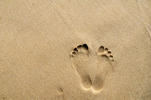 모래 해변의 발자국 스톡 사진