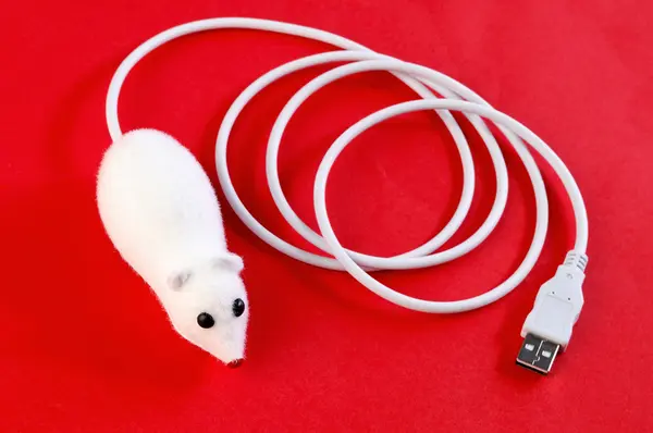 케이블이 달린 생쥐 — 스톡 사진