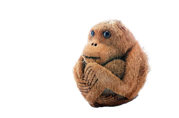 Ručně vyráběné opice ze sušených kokosový — Stock fotografie