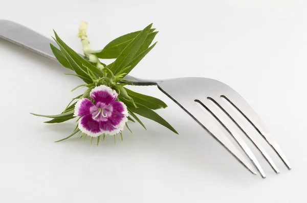 Forchetta con un fiore — Foto Stock