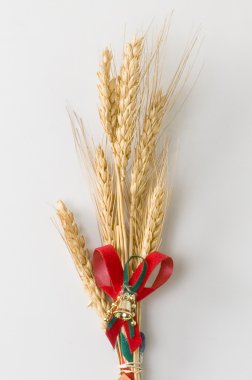 Sheaf on a white background