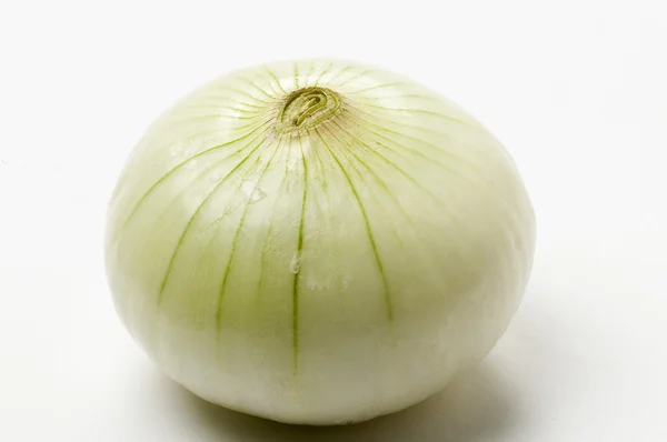 Object on white food - bulb onion — Stock Photo, Image