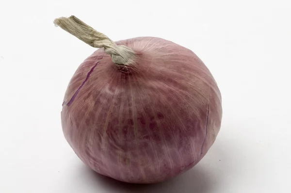 stock image Object on white food - bulb onion