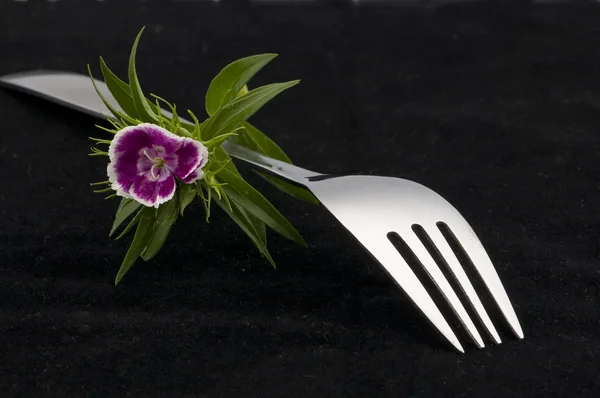 Forchetta su sfondo bianco con fiore — Foto Stock