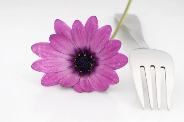 Vidlička s květinou — Stock fotografie