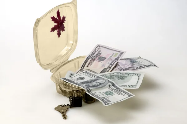 Hrudník dolaru uložené peníze — Stock fotografie
